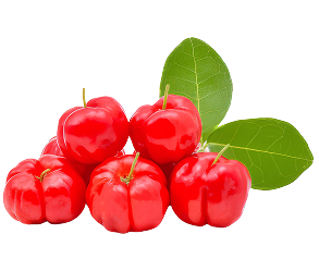 Polpa de Acerola (cx 10,2kg)