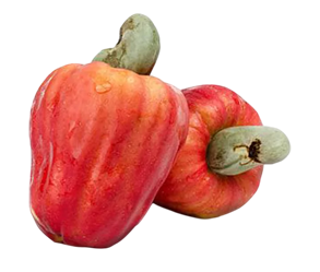 Polpa de Caju (cx 10,2kg)