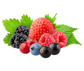 Frutas Vermelhas (Amora, Morango, Mirtilo e Framboesa) (10un x 100 gramas)